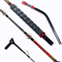 Daiwa Seaborg Dendoh Rods