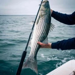 Dark Matter Mojo Trolling Rods