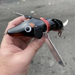 Fish Arrow Wing Dachs