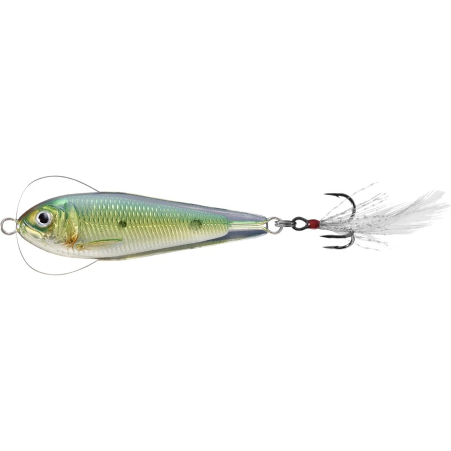 LIVETARGET Flutter Sardine 1 LIVETARGET Flutter Sardine