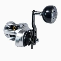 Shimano Tranx B Low Profile Baitcasting Reels -JH Tackle Store SHIMANOTRANX301HGB1